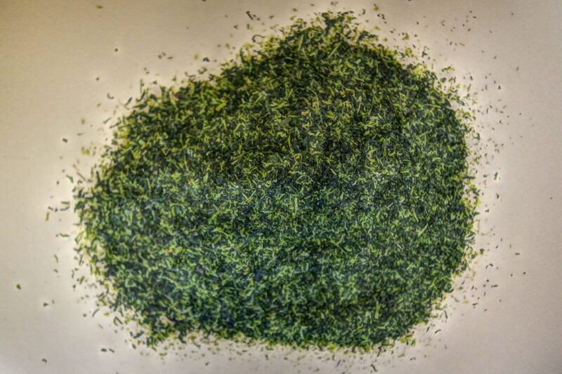 Te verde Konacha in primo piano