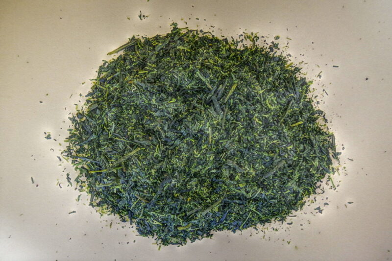 Te verde Fukamushi in primo piano